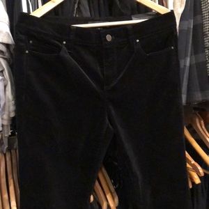 New Ann Taylor, Modern Fit, The Skinny velvet pant